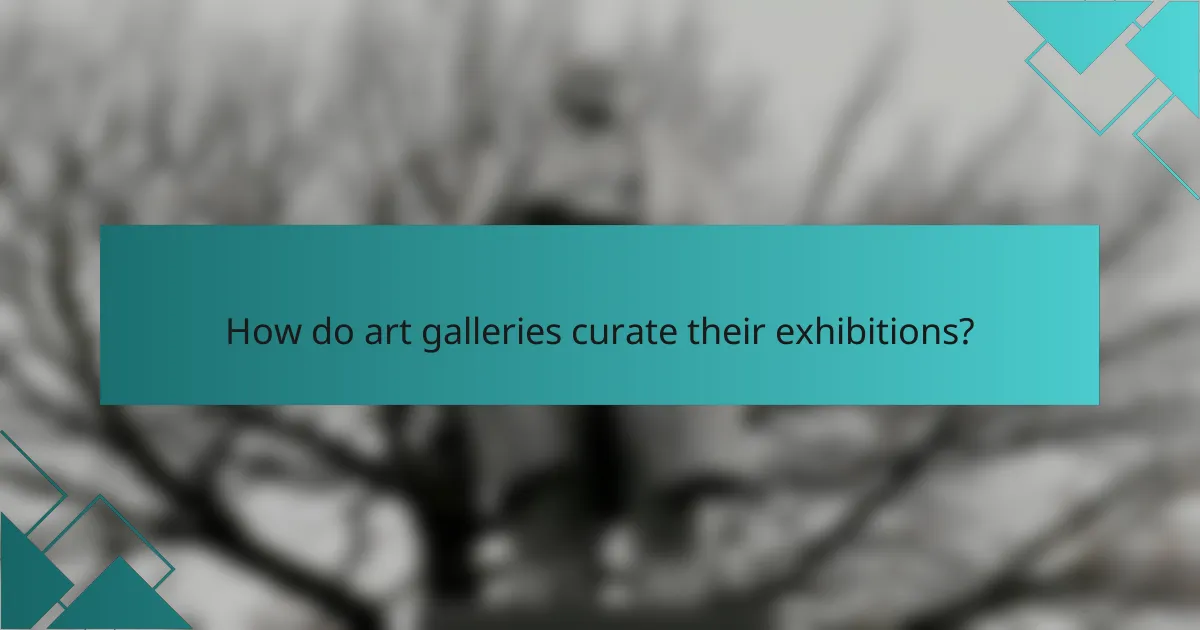 How do art galleries curate their exhibitions?