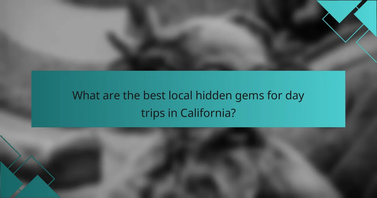 What are the best local hidden gems for day trips in California?