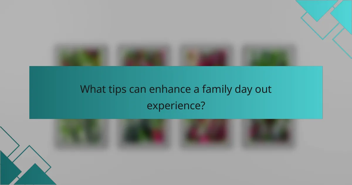What tips can enhance a family day out experience?